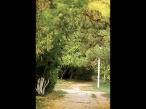 Schneider TM - Lambchop, Reconfigures