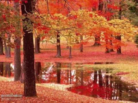 Amrinder Gill - Dilbara.wmv