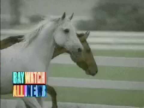 Baywatch S06E13 Preview - Desperate Encounter - Pamela Anderson David Chokachi