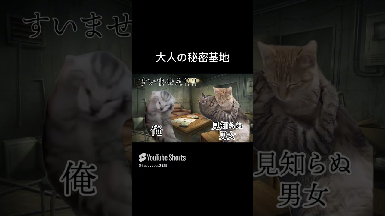 大人の秘密基地 #猫ミーム