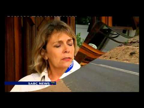 Manhunt is underway on alleged baboon gunman