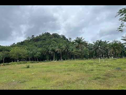 Nice 2 Rai Land Plot with Mountain Views for Sale in Great Ao Nang Location