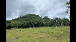 Nice 2 Rai Land Plot with Mountain Views for Sale in Great Ao Nang Location