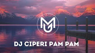 Download lagu DJ CIPERI PAM PAM | VIRAL TIK TOK‼️ mp3