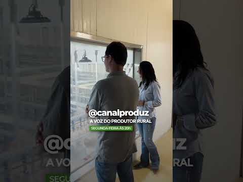 Bastidores da Super Frango