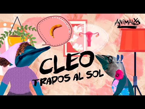 ANIMALXS CAP 8 - CLEO, TRAPOS AL SOL
