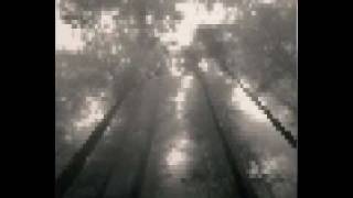 My tears fall for you - Iniuria [September]