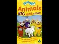 Opening Closing To Teletubbies Animals Big And Small UK VHS 2001