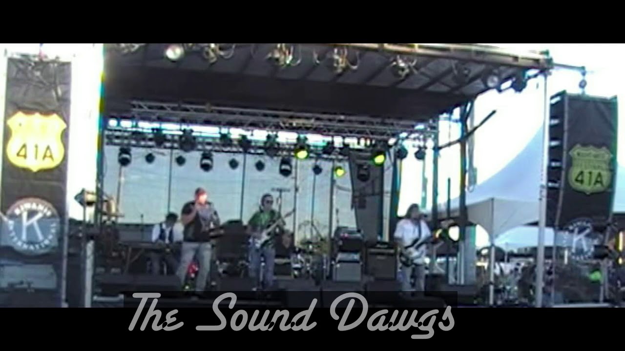 Promotional video thumbnail 3 for The Sound Dawgs