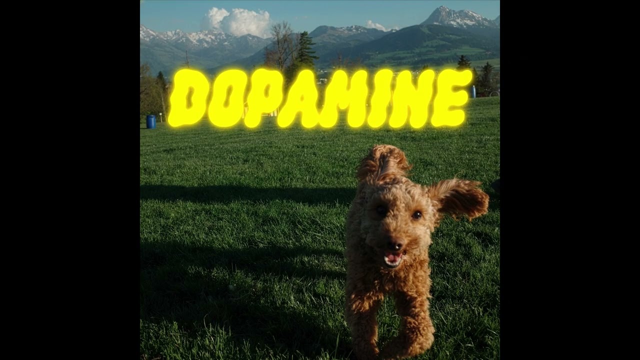 Shuttle - Dopamine
