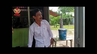 Download lagu PROFILING DESA WISATA APEDI JATENG | DESA SUNGAPAN PEMALANG mp3