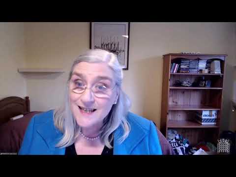 Baroness Brinton - Building Safety Bill - House of Lords Committee Day 1 - 21 February 2022