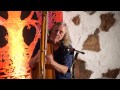 Robin Williamson - God dog / If you ever look for trouble