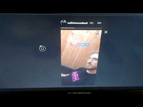 Nicholas petricca likes baby shark