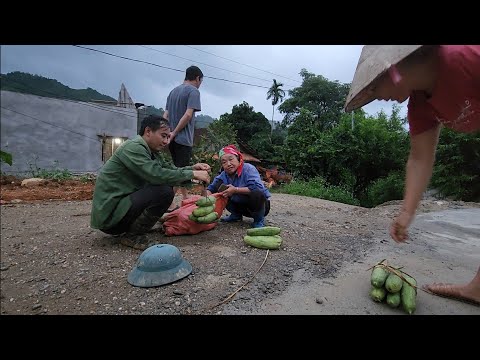 Jhony sells melons and a busy day on the farm,Survival Instinct,Building a Life (EP 200)