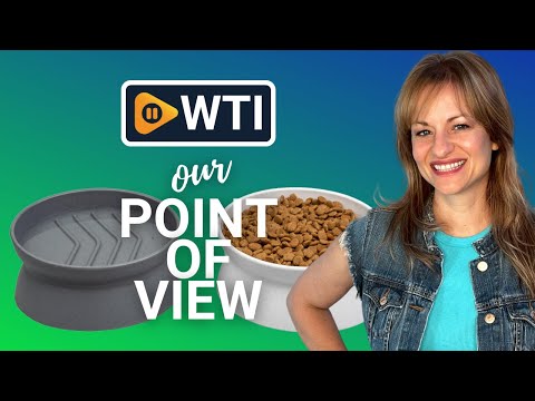 Kitty City Raised Cat Food Bowl Collection/Stress Free Pet Feeder and Waterer and Slow Feed Bowls 2 Bowls/Small Slow Feed - WTI product video review