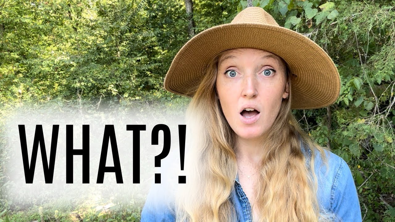 They’re taxing WHAT?!