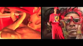 Plies - Anything 4 My Niggas (Official Video)