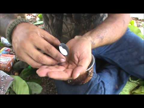 Christmas Lunch in the Bush