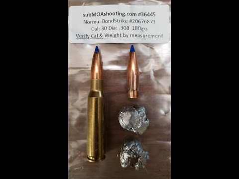 Norma BONDSTRIKE 180gr 30cal gel test 308, 30-06, 300 PRC