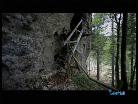 Intervento di Davide Tonazzi - SentieriNatura 2014 - 04