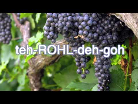 Teroldego as spoken by Elisabetta Foradori