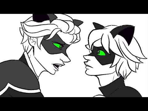 Ladynoir Meets their Future Selves || Miraculous Ladybug Animatic