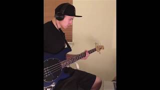 bass cover / descendents - fighting myself