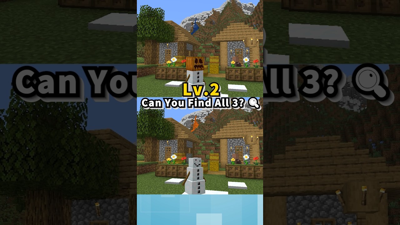 【Lv2】Spot 4 Differences! 🔍 マイクラ間違い探し #Shorts #Minecraft #マイクラ