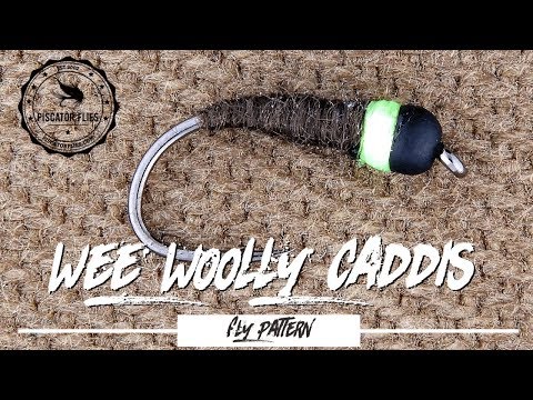 Wee Woolly Caddis Fly pattern