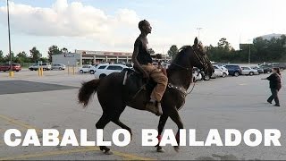 CABALLO SUELTO EN WALMART