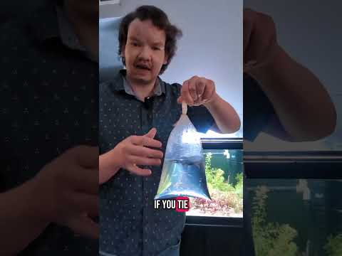 how to safely acclimate new fish in your aquarium #thompsonaquatics