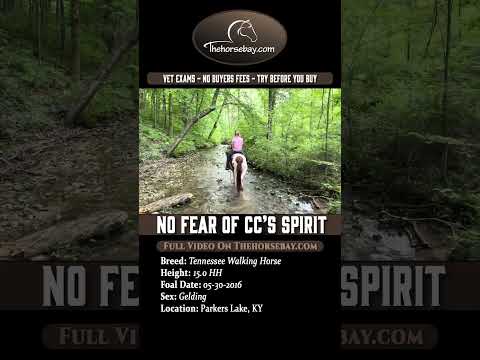 youtube preview