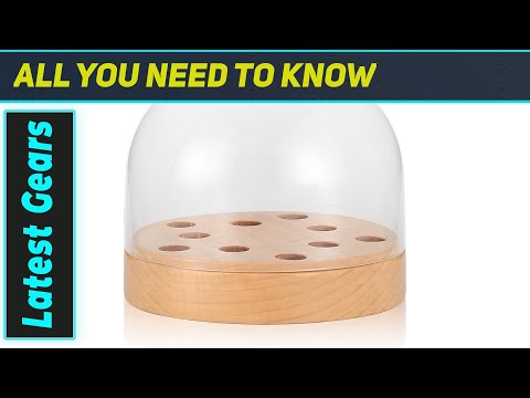 Nobsound Cartridge Keeper: The Perfect Display for Your Collection