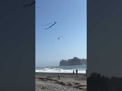 rialto beach