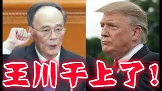 王岐山要抓“洋老虎”、習近平害怕了、中共孤注一擲特朗普！