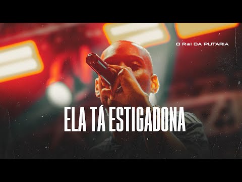 ELA TÁ ESTIGADONA - MC GW E DJ GUIH DA ZO