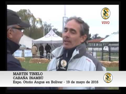 19-05-16 NOTA MARTIN TINELLO - CABAÑA INAMBU - EXPO BOLIVAR - BOLIVAR