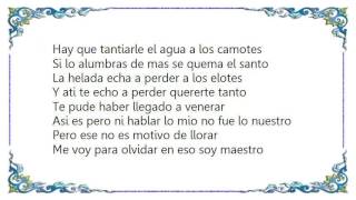 Joan Sebastian - Reflexiones De Este Gallo Lyrics