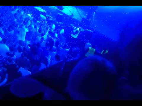 DayGlow Warsaw Poland 29.10.2011