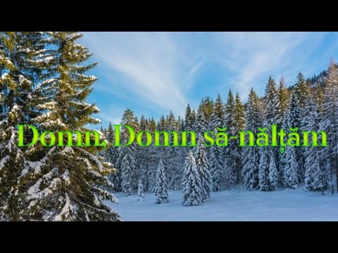 Domn, Domn sa-nalțam - (Versuri/Lyrics Video)