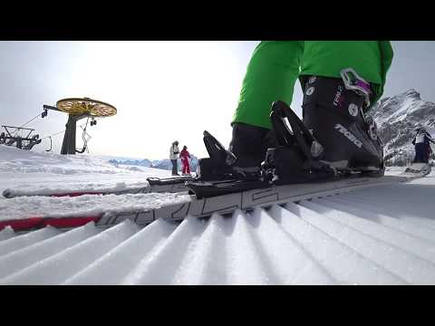 ITALY - ALLEGHE - CIVETTA - 15.2.2018