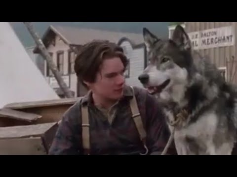 Colmillo Blanco / Ethan Hawke / Película completa (audio en español latino)
