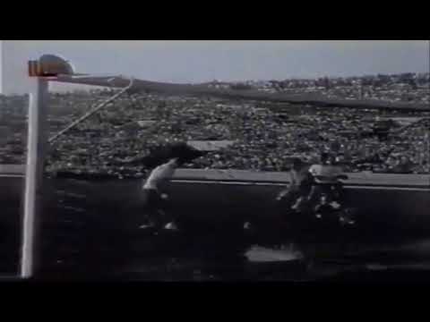 Stjepan Bobek - legenda Partizana