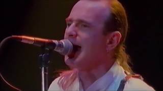 Status Quo-Perfect Remedy LIVE