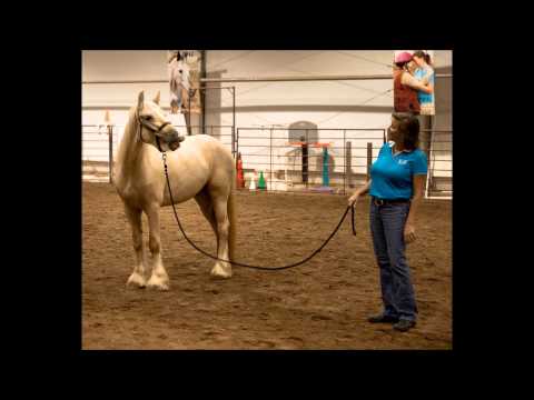 Hearts and Horses on Counterpoint 07 12 15