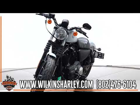 2020 Harley-Davidson XL883N Iron 883 in Barracuda Silver Denim