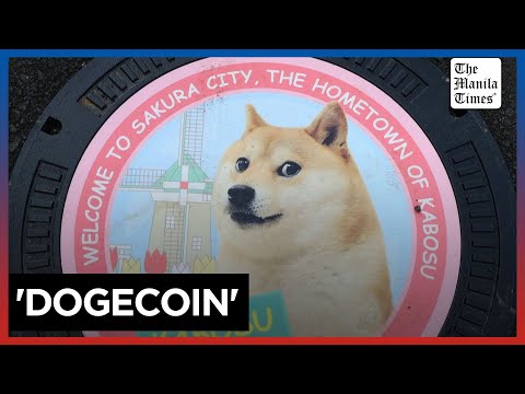 Rescue pup to meme star: the real-life 'Dogecoin' dog