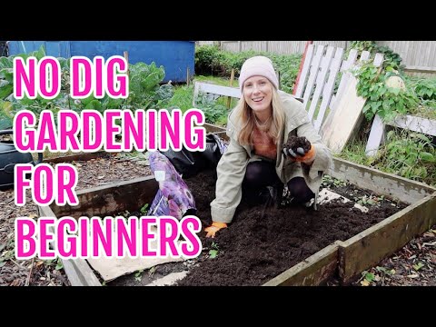 NO DIG GARDENING FOR ABSOLUTE BEGINNERS