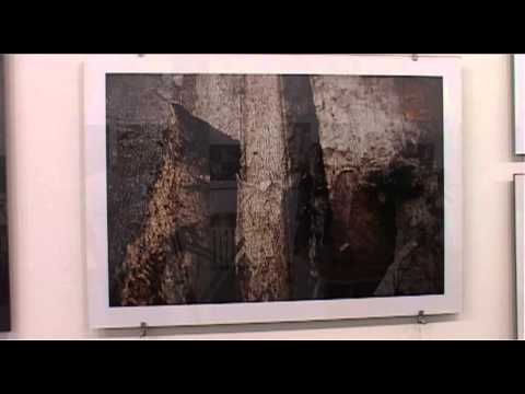 DZWIĘKI CZASU I PRZESTRZENI DARIUSZA CHOJNACKIEGO  siewie.tv